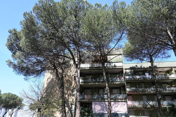 appartamento in vendita a Roma in zona Tor Bella Monaca
