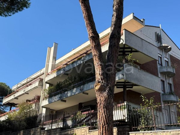 appartamento in vendita a Roma in zona Torrino