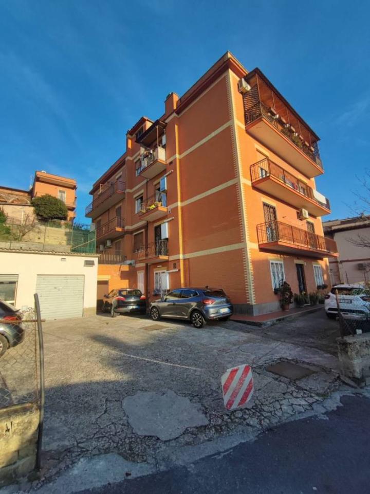 immagine annuncio 0 di 14