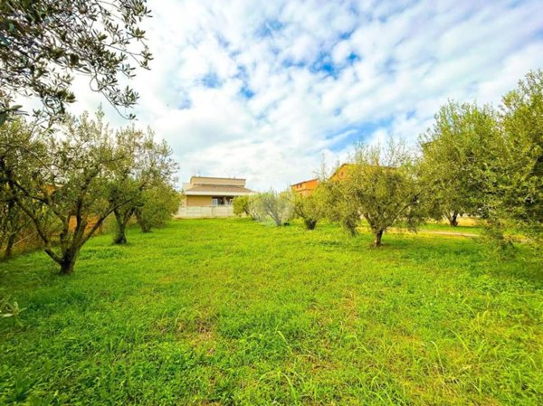 terreno agricolo in vendita a Roma in zona Castelverde