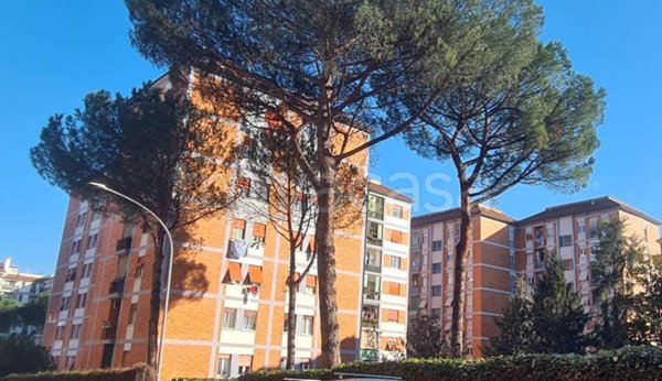 appartamento in vendita a Roma in zona Salario