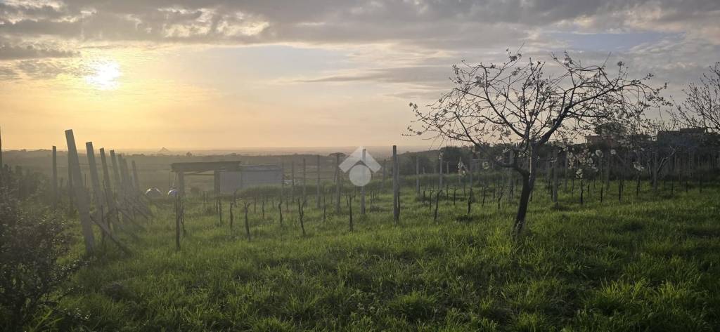 terreno agricolo in vendita a Roma in zona Finocchio