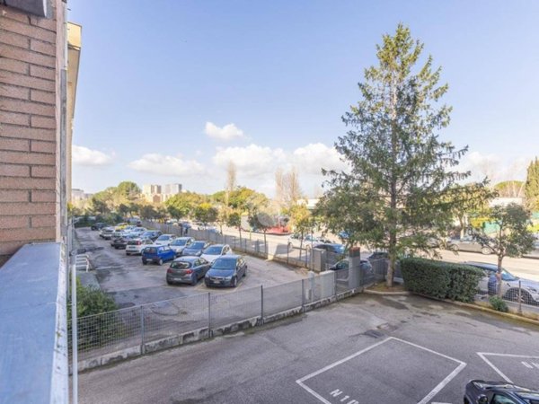 appartamento in vendita a Roma in zona Monte Sacro/Talenti