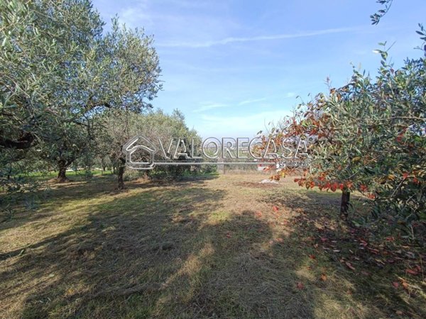 terreno agricolo in vendita a Roma in zona Finocchio