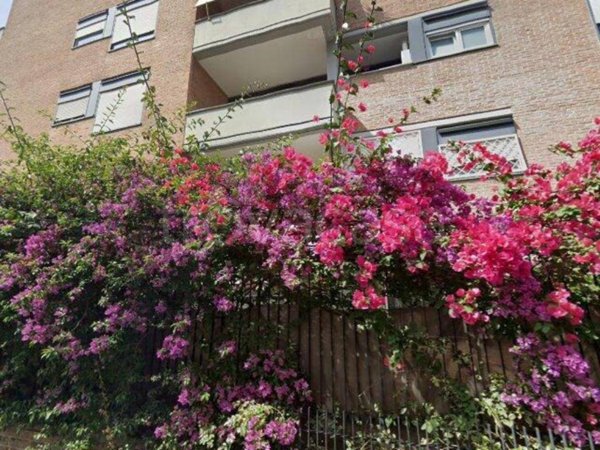 appartamento in vendita a Roma in zona Monte Sacro/Talenti