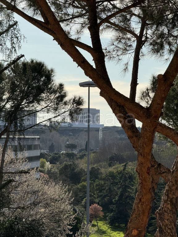 appartamento in vendita a Roma in zona Torrino