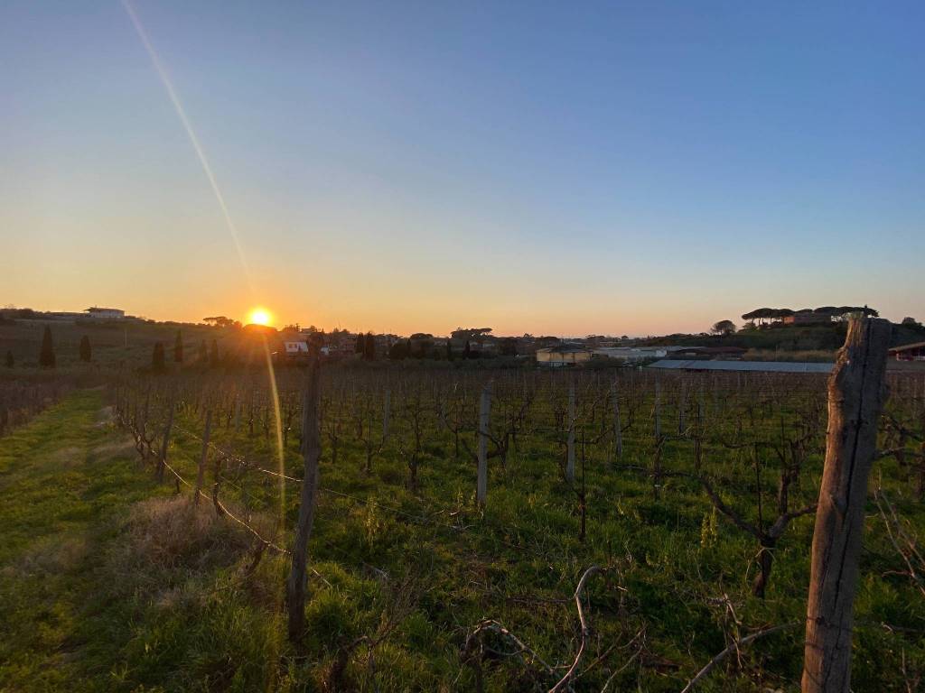 terreno agricolo in vendita a Roma in zona Ponte di Nona