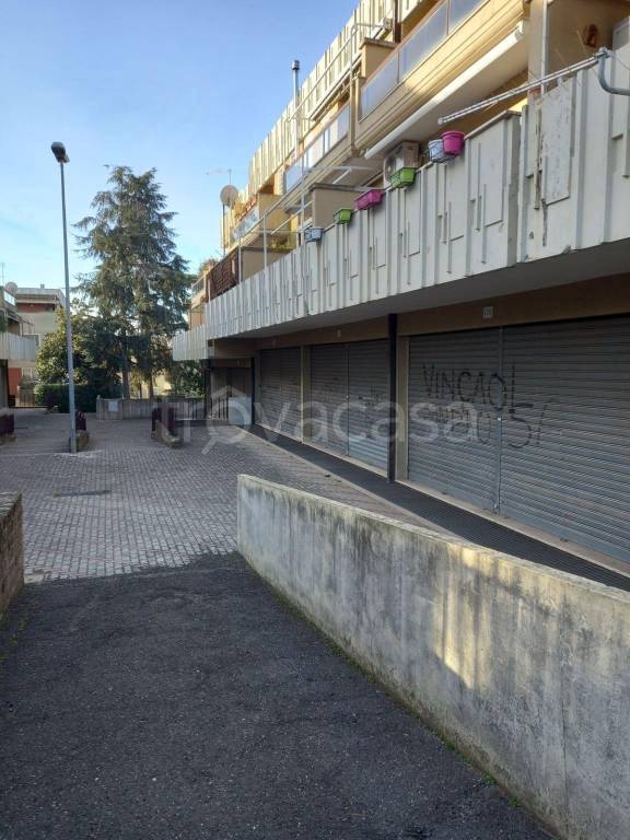appartamento in vendita a Roma in zona Torre Gaia