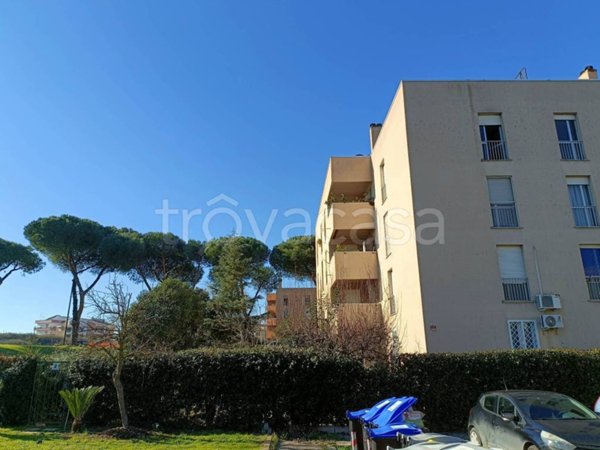 appartamento in vendita a Roma in zona Torre Gaia