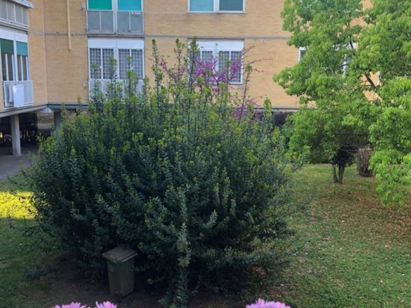 appartamento in vendita a Roma in zona Parioli
