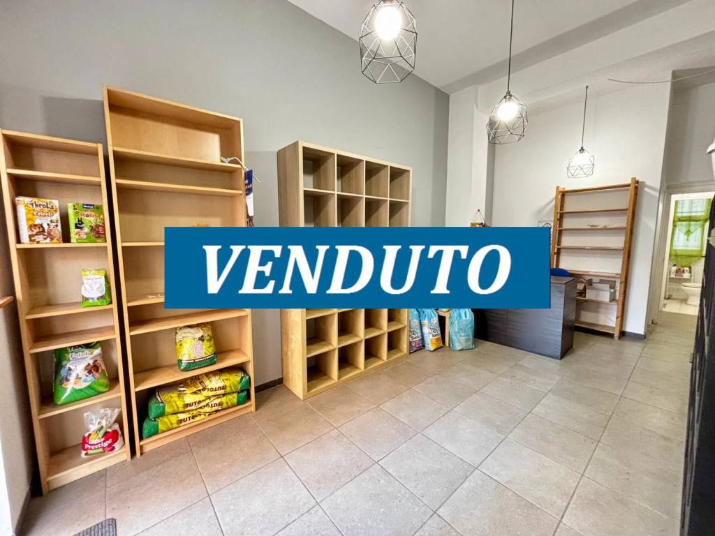 appartamento in vendita a Roma in zona Monte Sacro/Talenti