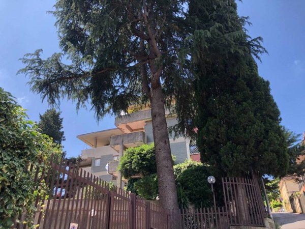 appartamento in vendita a Roma in zona Tomba di Nerone