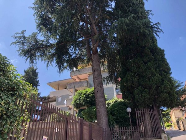 appartamento in vendita a Roma in zona Tomba di Nerone