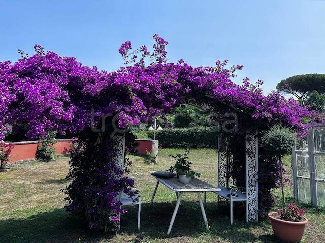 immagine annuncio 0 di 15