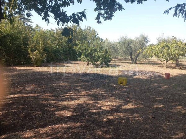 terreno agricolo in vendita a Roma in zona Centro Storico