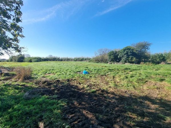 terreno agricolo in vendita a Roma in zona Pantan Monastero