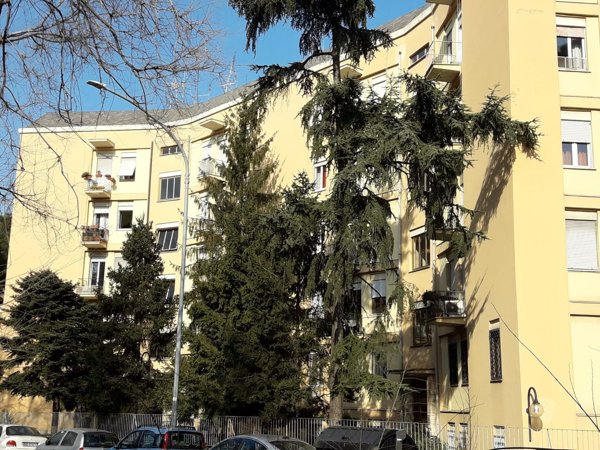 appartamento in vendita a Roma in zona Don Bosco