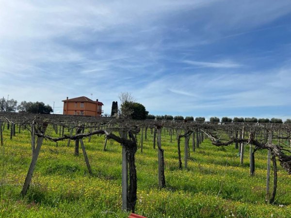 casale in vendita a Roma in zona Romanina
