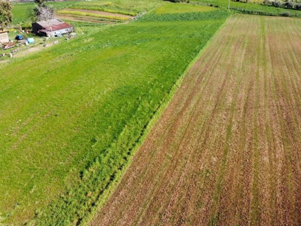 terreno agricolo in vendita a Roma in zona Olgiata
