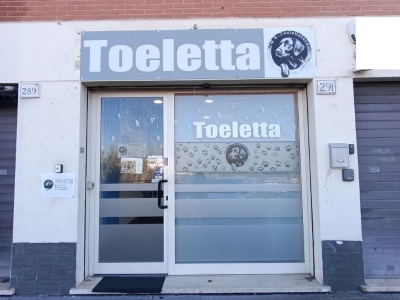 negozio in vendita a Roma in zona Tor Vergata/Torrenova