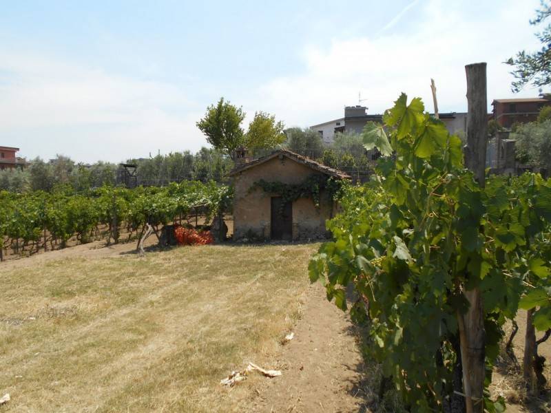 casa indipendente in vendita a Roma in zona Borghesiana