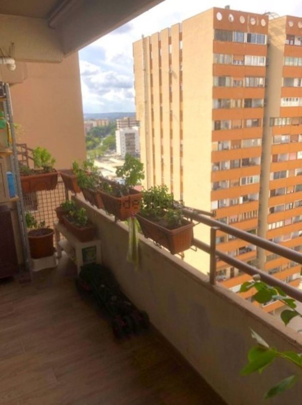appartamento in vendita a Roma in zona Nomentano