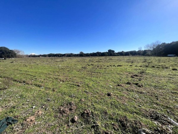 terreno agricolo in vendita a Roma in zona Infernetto