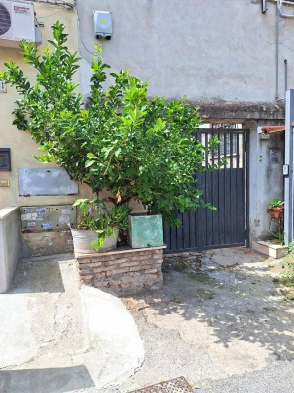 appartamento in vendita a Roma in zona Tuscolano