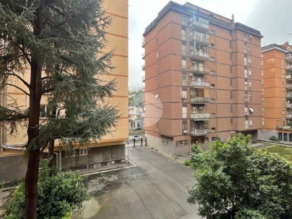 appartamento in vendita a Roma in zona Collatino