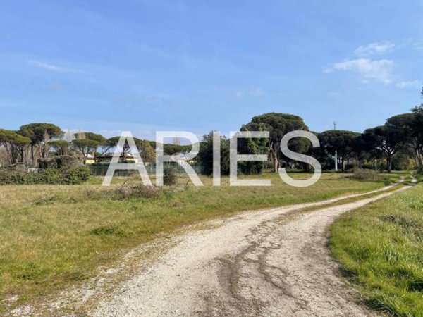 negozio in vendita a Roma in zona Casal Palocco