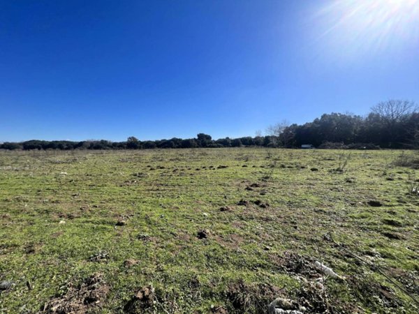 terreno agricolo in vendita a Roma in zona Infernetto