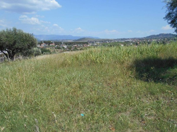 terreno agricolo in vendita a Roma in zona Finocchio