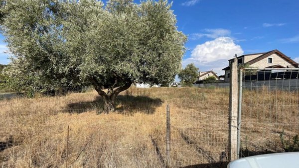 negozio in vendita a Roma in zona Centro Storico