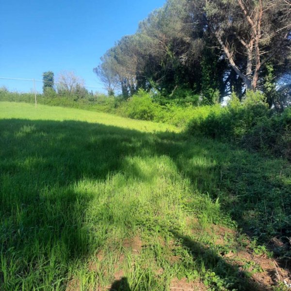 terreno agricolo in vendita a Roma in zona Flaminio