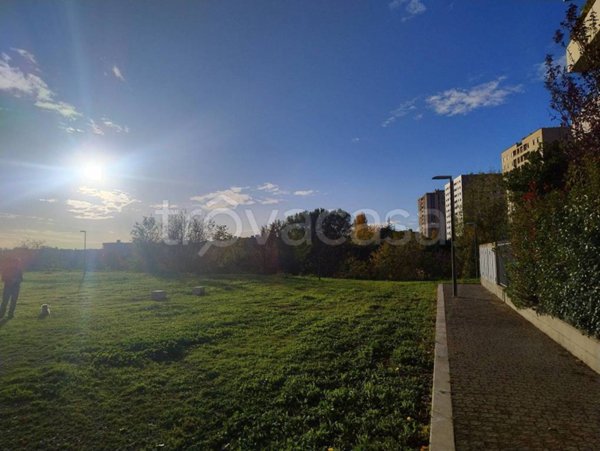 appartamento in vendita a Roma in zona Monte Sacro/Talenti