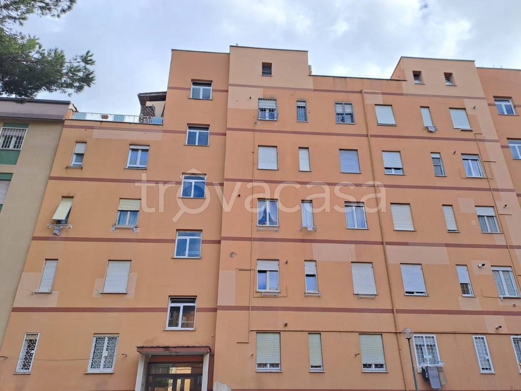 appartamento in vendita a Roma in zona Ostia