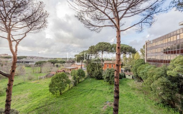appartamento in vendita a Roma in zona Mostacciano