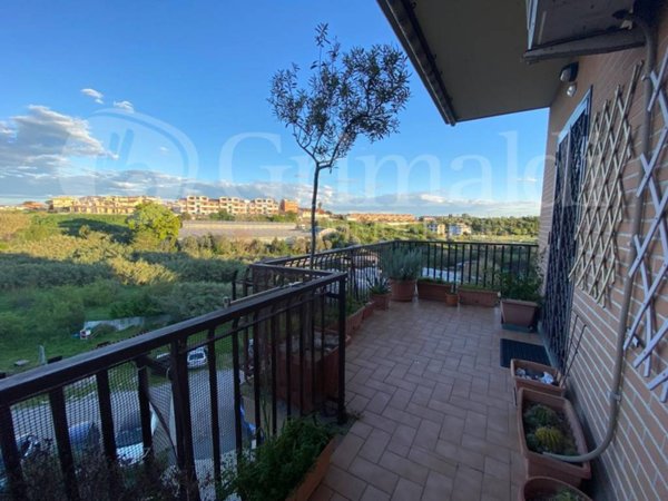 appartamento in vendita a Roma in zona Massimina/Casal Lumbroso