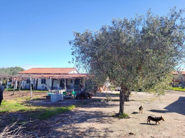 casa indipendente in vendita a Roma in zona Trigoria