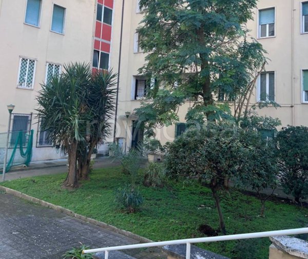 appartamento in vendita a Roma in zona Campo Marzio