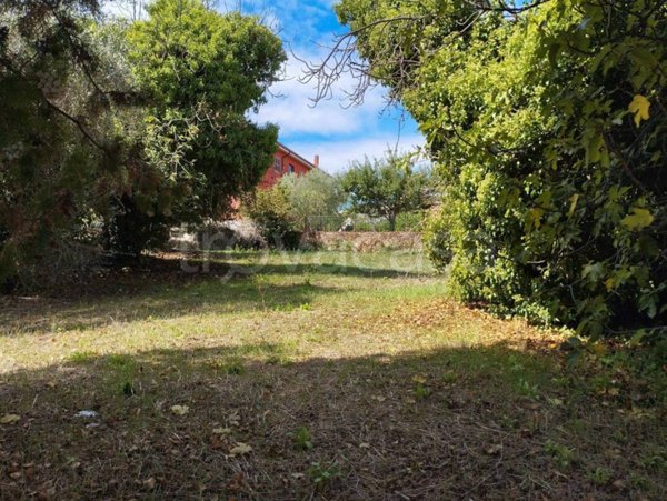 terreno agricolo in vendita a Roma in zona Valle Muricana