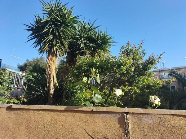 casa indipendente in vendita a Roma in zona Prenestino-Labicano