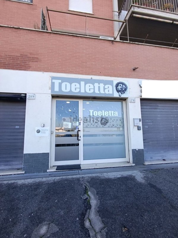 negozio in vendita a Roma in zona Tor Vergata/Torrenova