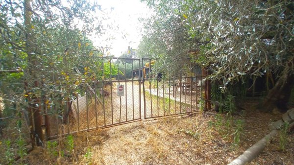 terreno agricolo in vendita a Roma in zona Torricola