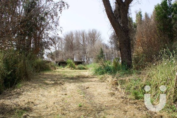terreno agricolo in vendita a Roma in zona Cesano