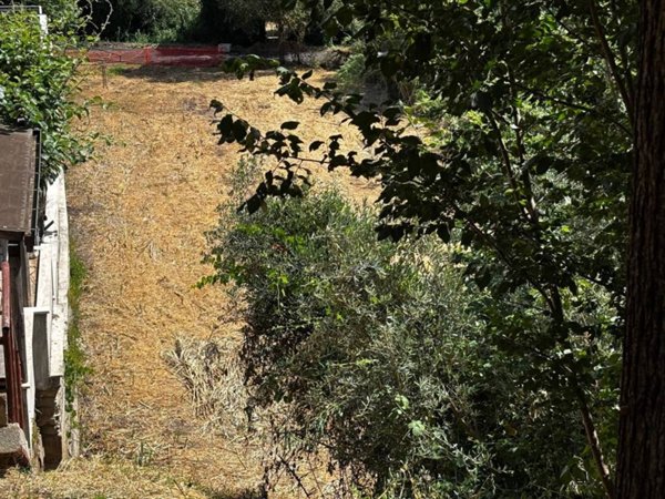 terreno agricolo in vendita a Roma in zona Tor Vergata/Torrenova