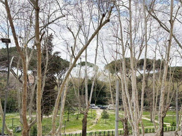appartamento in vendita a Roma in zona Monte Sacro/Talenti