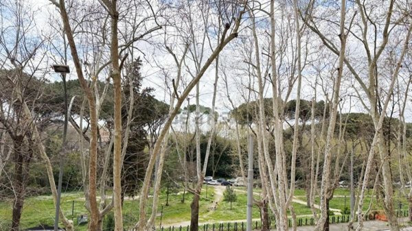 appartamento in vendita a Roma in zona Monte Sacro/Talenti