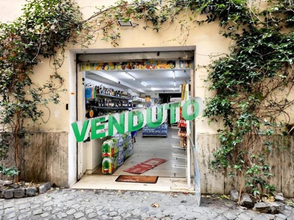 appartamento in vendita a Roma in zona Campo Marzio