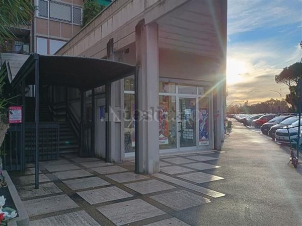 appartamento in vendita a Roma in zona Ardeatino